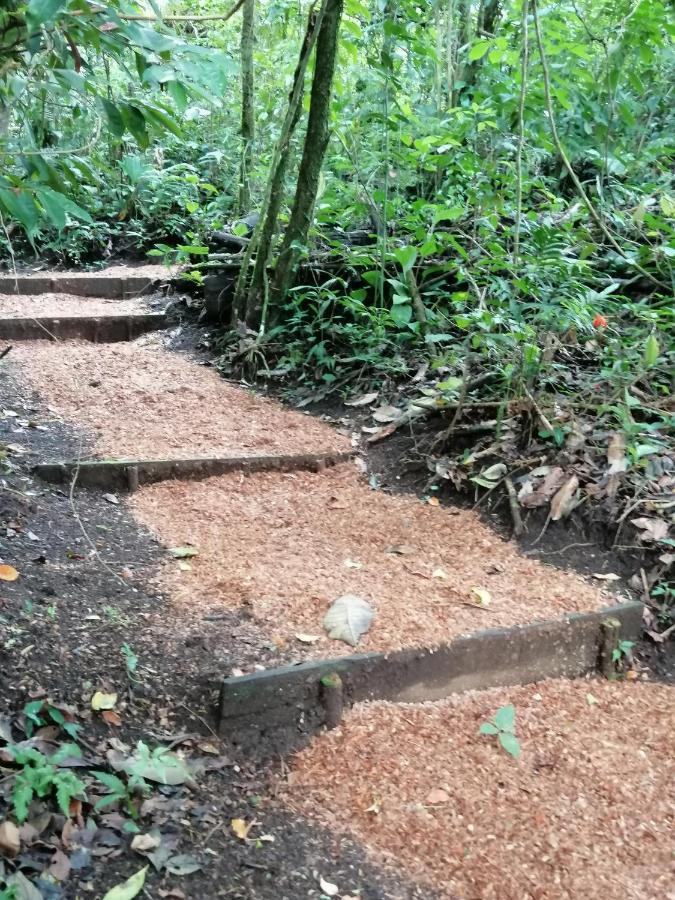 Aves De Tierras Altas Villa Bijagua Kültér fotó
