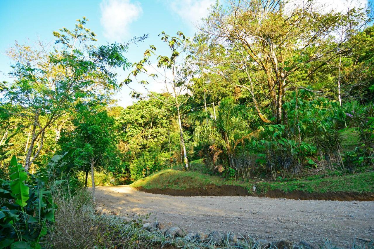 Aves De Tierras Altas Villa Bijagua Kültér fotó