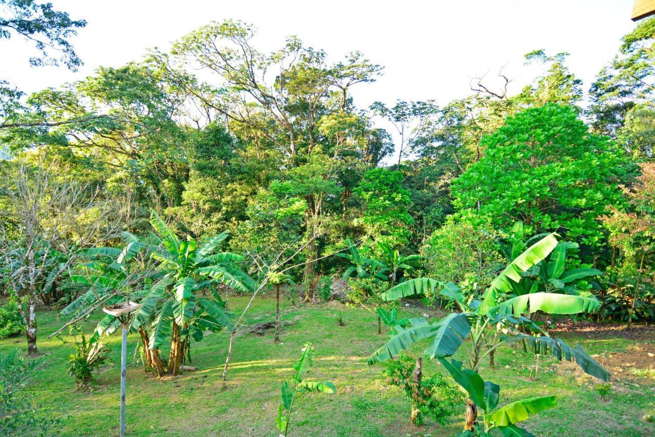 Aves De Tierras Altas Villa Bijagua Kültér fotó