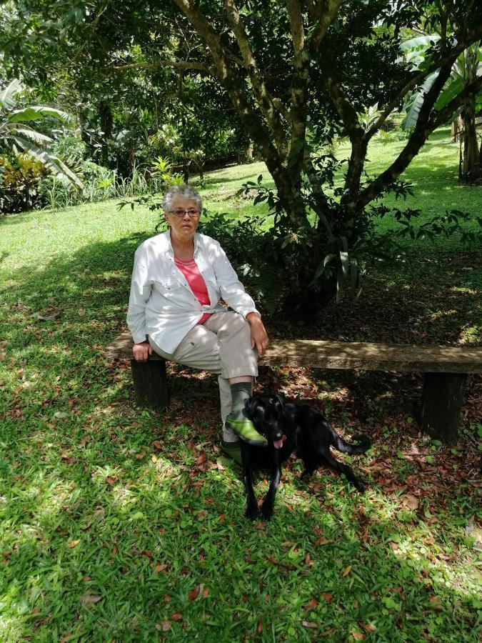 Aves De Tierras Altas Villa Bijagua Kültér fotó